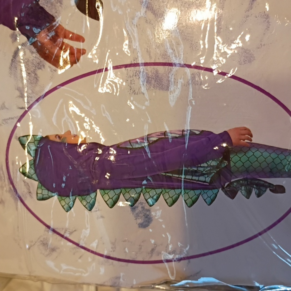 Mystical Dragon 3 Piece Kids Costume - New - Picture 6 of 6